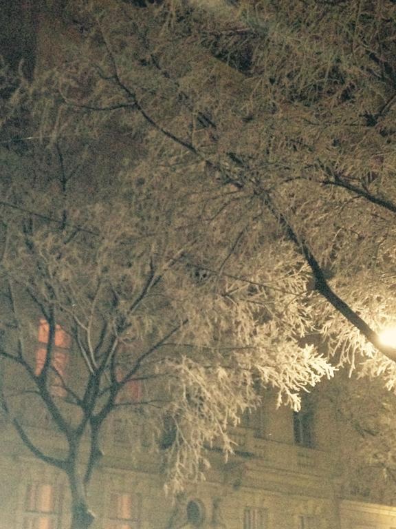 Charming Viennese Home 外观 照片